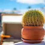 Mit Whirlpool By Interhome 別荘 プラヤ・ブランカ