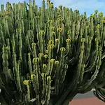 Mit Whirlpool By Interhome 別荘 プラヤ・ブランカ