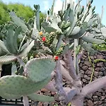 Дом отдыха Mit Whirlpool By Interhome Коста Бланка