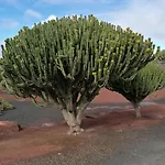 Дом отдыха Mit Whirlpool By Interhome