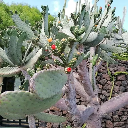 Hébergement de vacances Mit Whirlpool By Interhome Playa Blanca (Lanzarote)