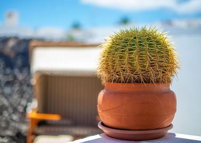 Mit Whirlpool By Interhome Holiday home Playa Blanca (Lanzarote)