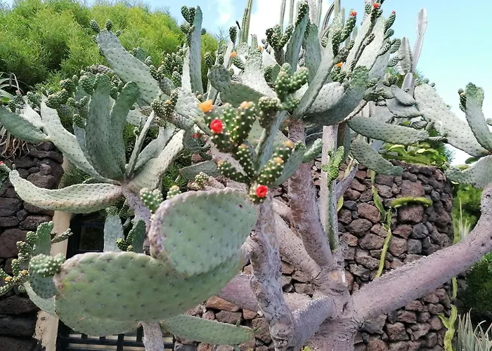 Holiday home Mit Whirlpool By Interhome Playa Blanca (Lanzarote)