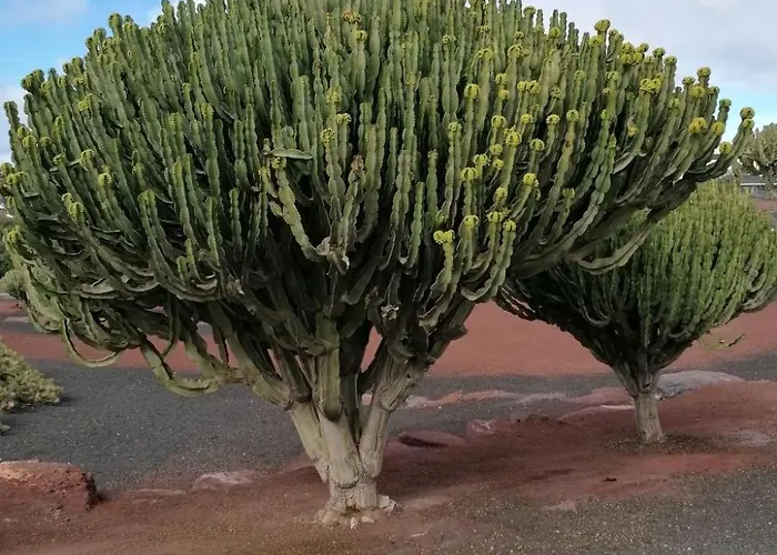 펜션 Mit Whirlpool By Interhome